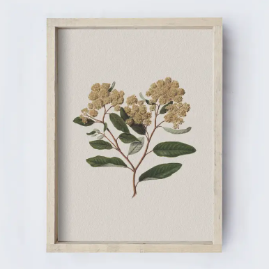 The Spring Collection