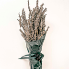 Dried Lavender Bunches - Wrapped