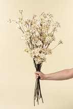 Pear Blossom Branch L