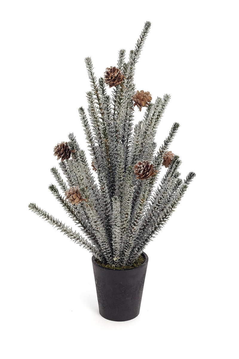 Frosted Pine Tree with Cones - Multiple Sizes