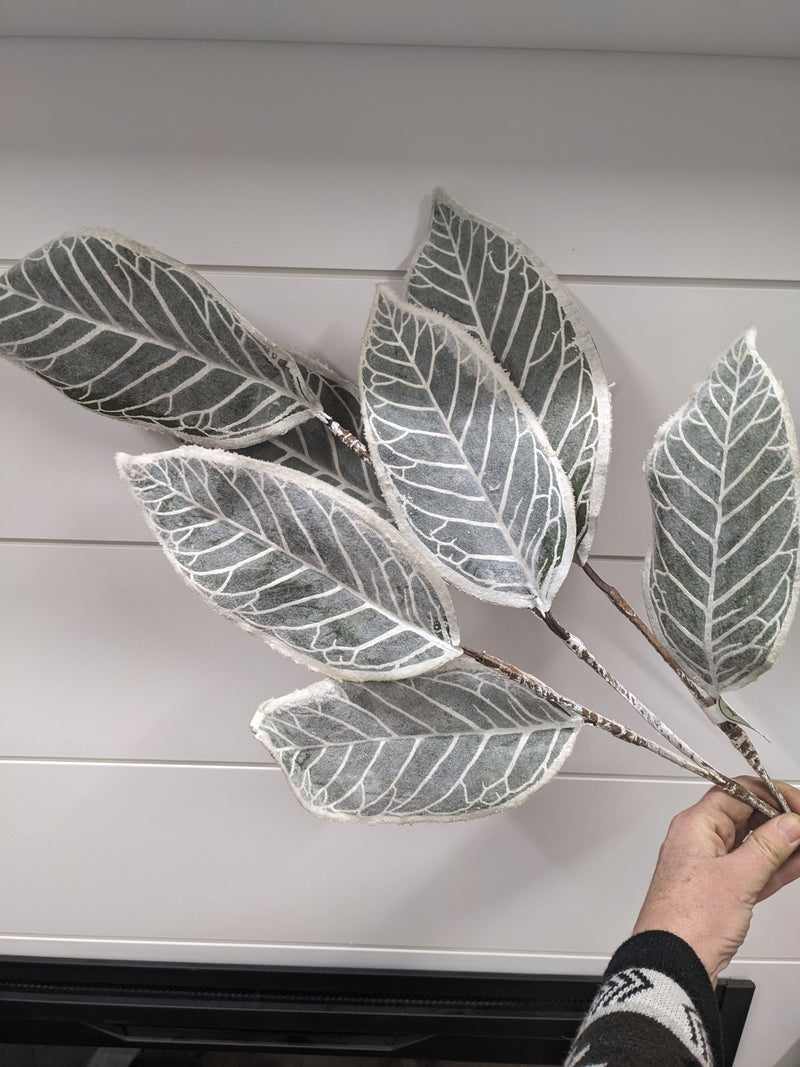 36" FROSTED MAGNOLIA LEAF SPRAY-GREEN/WHITE